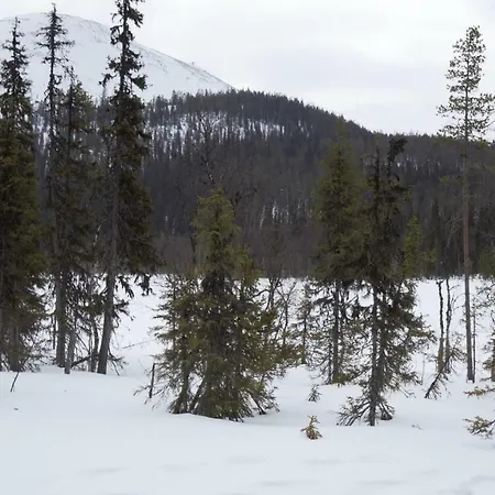 Yllas Suistotie Holiday home *