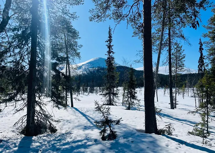 Σπίτι διακοπών Stay Aekaeslompolo Cottage *