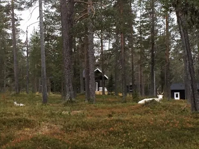 Σπίτι διακοπών Stay Aekaeslompolo Cottage Äkäslompolo