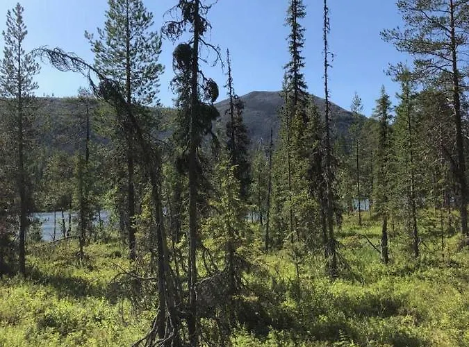 Stay Aekaeslompolo Cottage Σπίτι διακοπών *